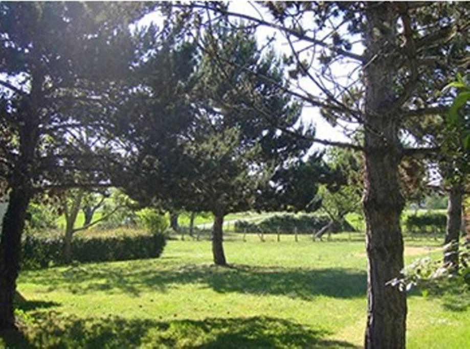 Gites Chez Belliveau Meursac ภายนอก รูปภาพ