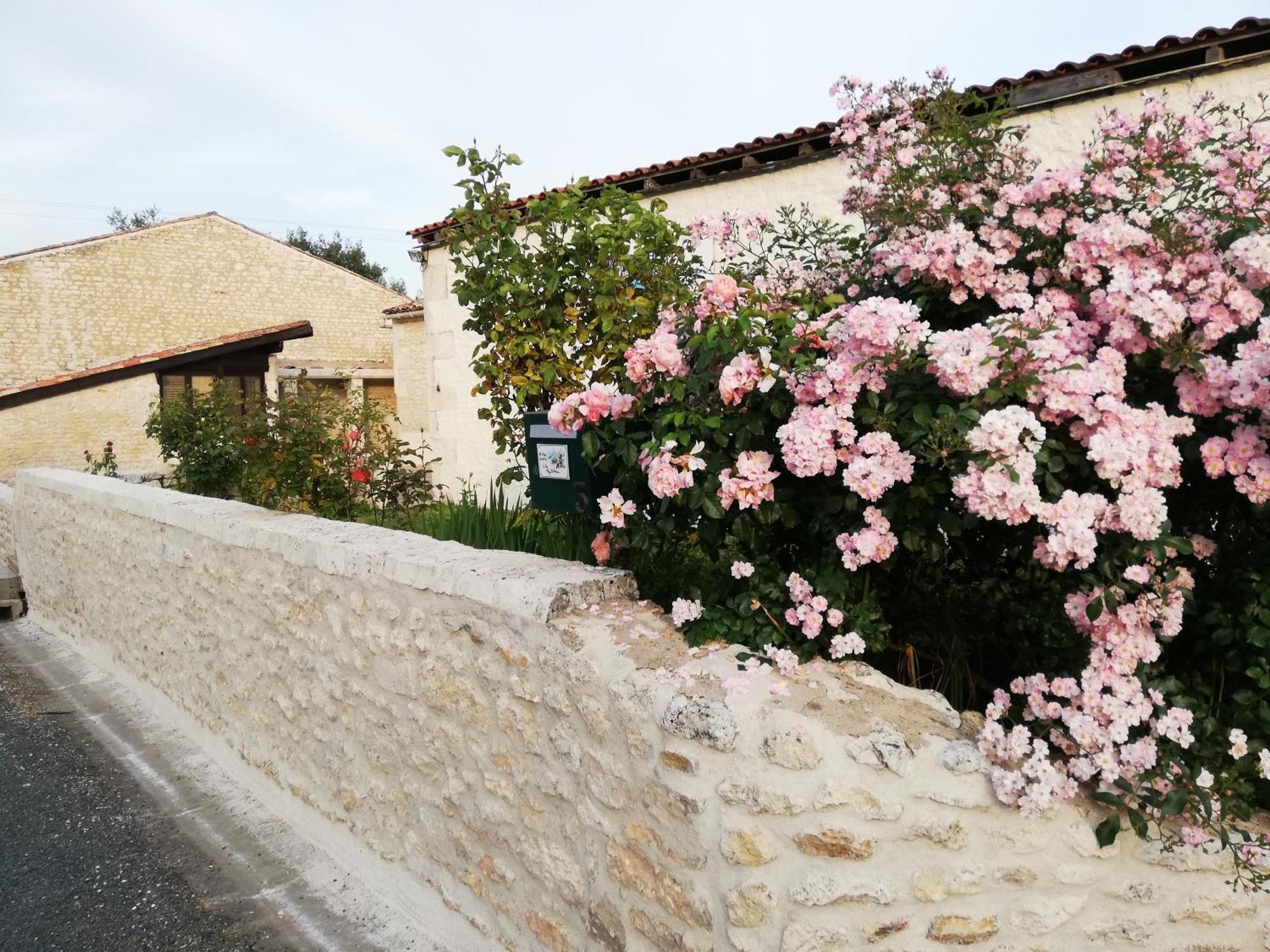 Gites Chez Belliveau Meursac ภายนอก รูปภาพ