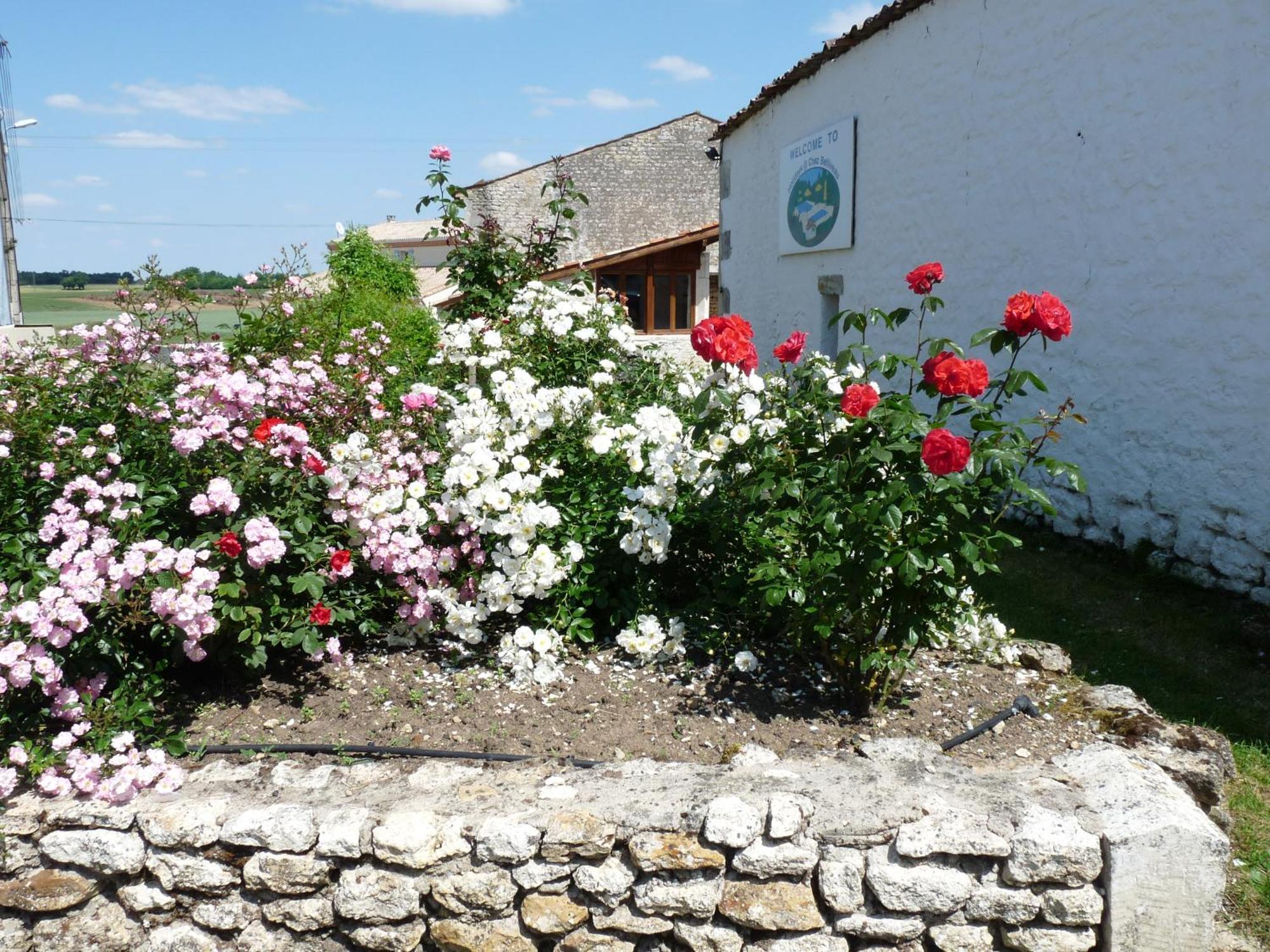 Gites Chez Belliveau Meursac ภายนอก รูปภาพ