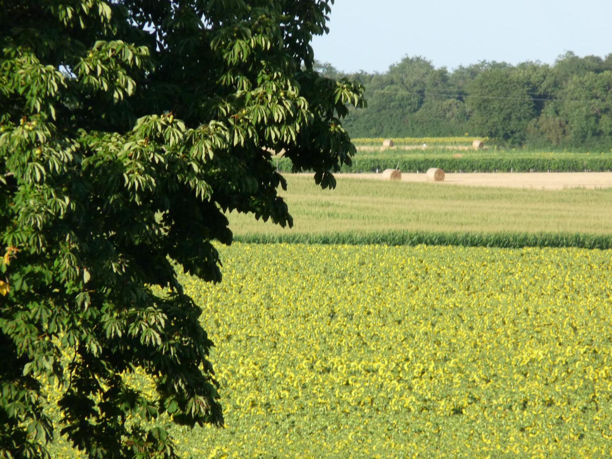Gites Chez Belliveau Meursac ภายนอก รูปภาพ