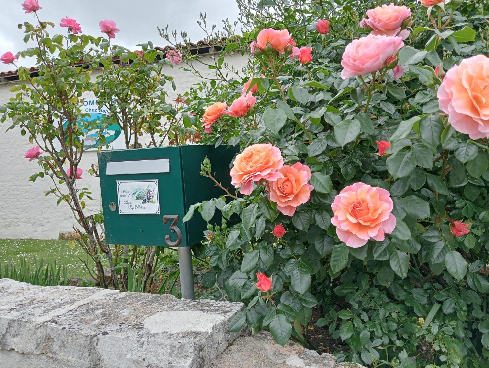 Gites Chez Belliveau Meursac ภายนอก รูปภาพ