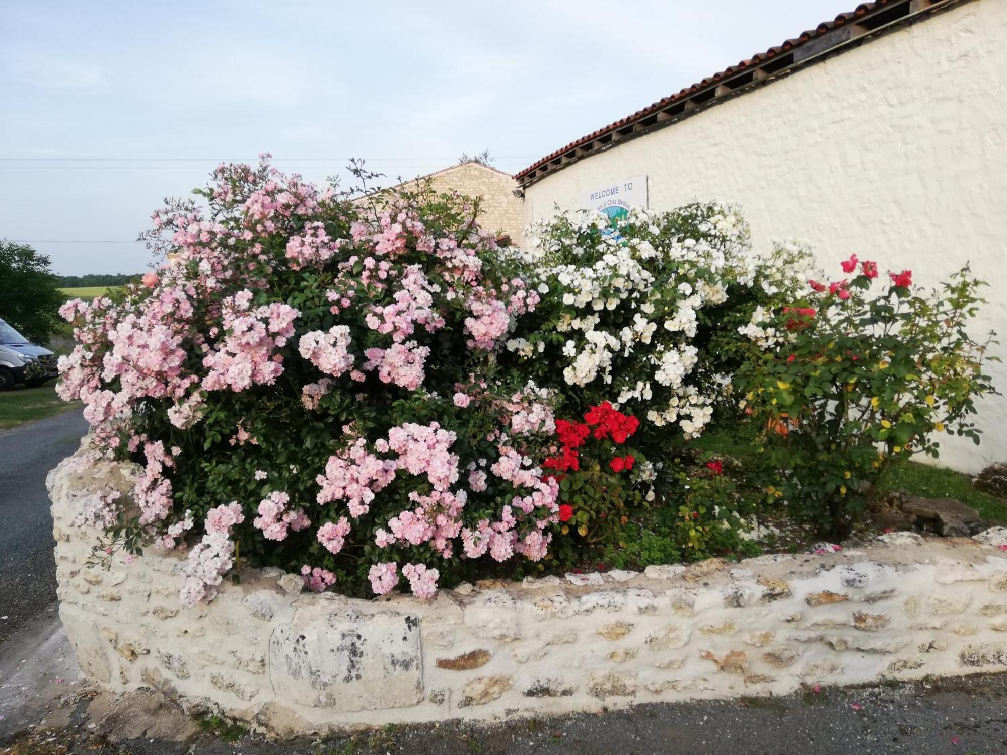 Gites Chez Belliveau Meursac ภายนอก รูปภาพ